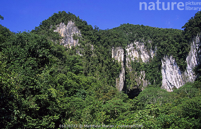 Stock Photo Of Entrance To The Deer Cave Largest Cave Entrance In The