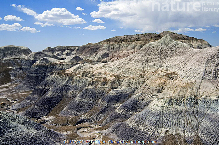 Stock Photo Of Blue Mesa Badlands Formations Painted Desert And