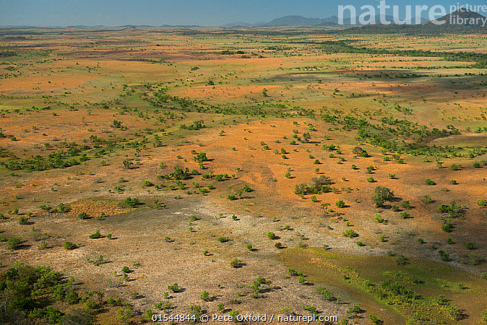 Stock Photo Of Aerial View Of Rupununi Savanna Guyana South America