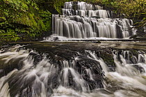 Purakaunui Falls, Catlins, New Zealand