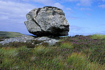 Large rock on Fanagmore Peninsula, Sutherland, Highlands, Scotland, UK
