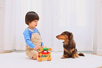 Portrait of young boy playing with toys, and long haired Dachshund sitting