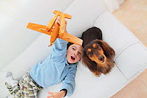 Looking down on boy playing with toy plane, and Longhaired Dachshund