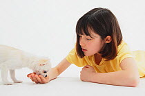 Portrait of  a young girl feeding a Chihuahua puppy
