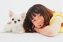 Portrait of young girl playing with white Chihuahua puppy