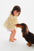 Portrait of young girl feeding a long-haired Dachshund