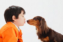 Portrait of young boy kissing a long-haired Dachshund