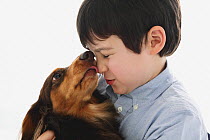 Portrait of longhaired Dachshund licking young boy's face