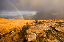 View from Stac Polliadh with double rainbow and rain clouds over Cul Mor, Coigach, Highland, Scotland, November. Photographer quote: "Standing on a rain lashed and windswept mountain side all morning...