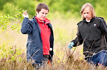 Local school children cut and collect growing tree saplings at Westhay to maintain wetland habitat, Westhay Nature Reserve (Somerset Wildlife Trust), Somerset Levels, Somerset, UK. June 2011.