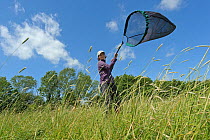 RSPB research ecologist, Chloe Hardman, using sweep net to sample invertebrate populations at Hope Farm, Cambridgeshire, UK, May 2011, model released