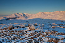 View of Creag Megaidh and surrounding mountains in winter, from Binnein Shuas, Creag Megaidh National Nature Reserve, Badenoch, Scotland, UK, December 2010.