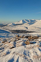 View over Creag Megaidh and surrounding mountains in winter, with Binnein Shuas in foreground, Creag Megaidh National Nature Reserve, Badenoch, Scotland, UK, December 2010.