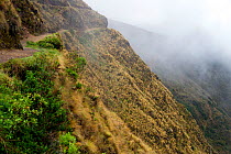 Path on the Yunga Cruz trail in a steep sided valley with low clouds, Precolumbian / Inca trail, Andes, Chunavi, Bolivia, November 2013.