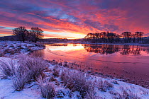 River Spey on winter&#39;s dawn, Cairngorms National Park, Scotland, UK.January