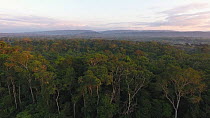Aerial shot ascending over rainforest canopy at dawn, with the Rio Napo in background, a tributary of the Amazon, Napo Province, Ecuador, 2017. (non-ex)