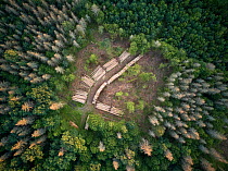 Aerial view of clearing with felled logs in Bialowieza Forest UNESCO World Heritage Site, Poland. Highly commended in the Wildlife Photojournalism Category of the Wildlife Photographer of the Year Awa...
