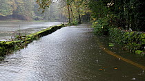 Rain falling and the River Rothay flooding onto a road, Ambleside, Lake District, UK..