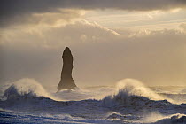 Reynisdrangar sea stack with large waves crashing onto the black sand beach, near Vik i Myrdal's, Iceland. February, 2024.