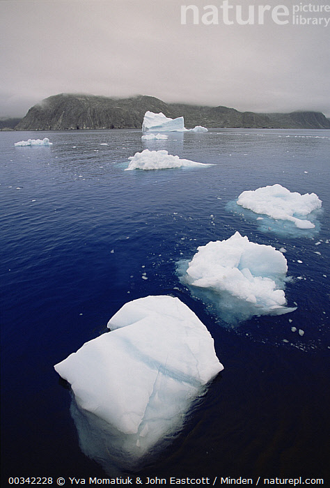 Stock photo of Iceberg breaking up and releasing pieces of ice called ...