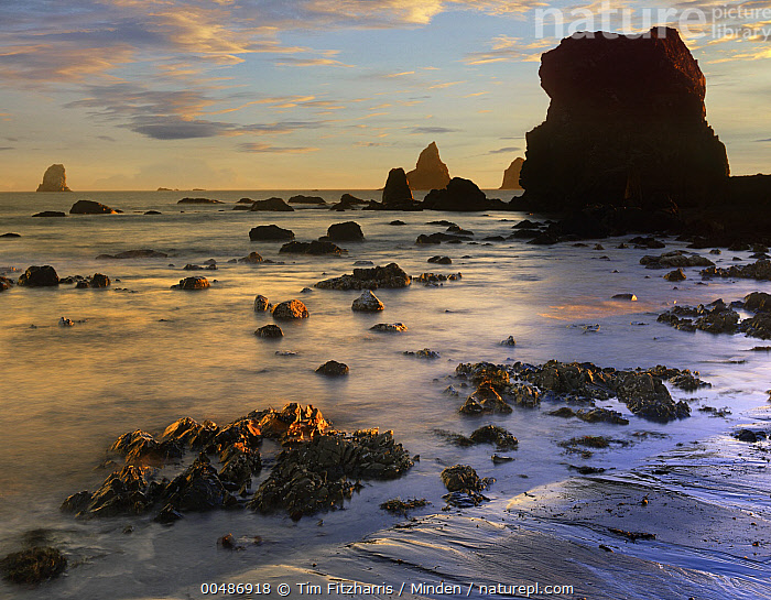 Lone Ranch Beach Stock photo of Seastacks, Lone Ranch Beach, Oregon. Available for sale ...