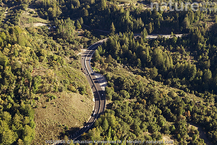 Stock photo of Highway acting as a barrier for wildlife Laurel