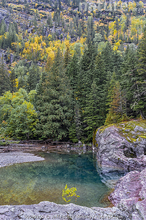 Stock photo of McDonald Creek, Glacier National Park, Montana ...