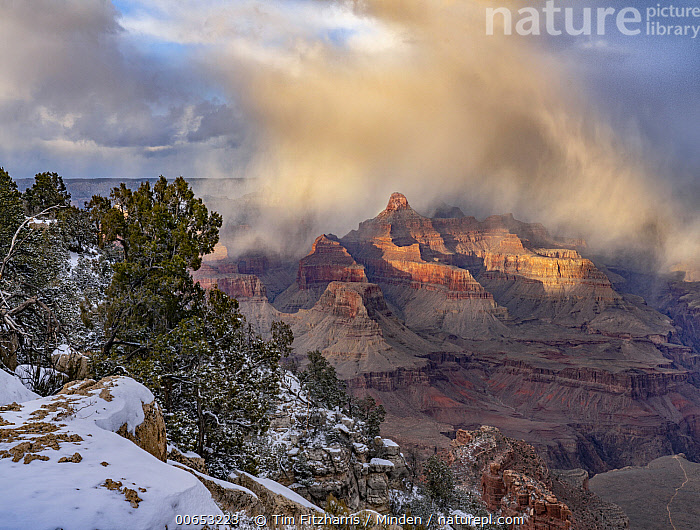 Stock photo of Rain clouds over Grand Canyon from Pima Point, Grand ...