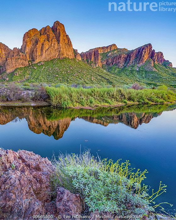 Stock photo of Goldfield Mountains and Salt River, Tonto National