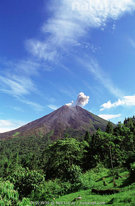Stock photo of Arenal volcano erupting Costa Rica, October 1995 ...