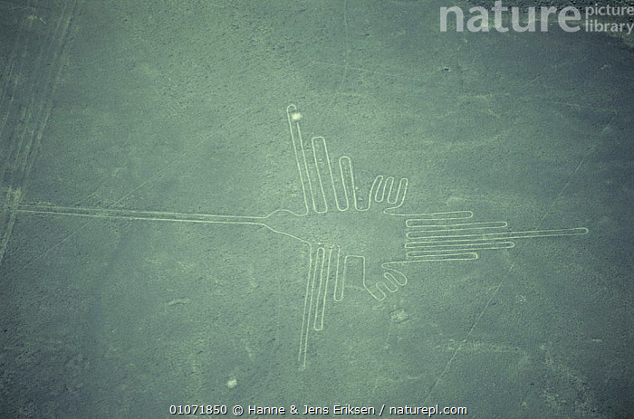 Stock photo of Aerial view of the Hummingbird, ancient Nasca Lines ...
