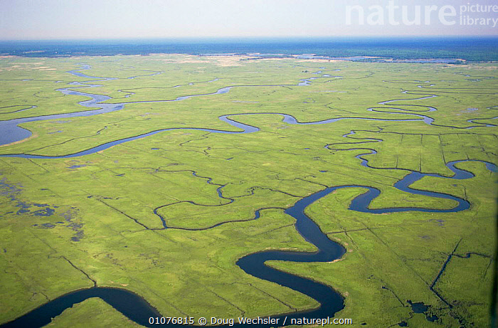 Stock photo of Aerial view of saltmarsh with mosquito control ditches ...