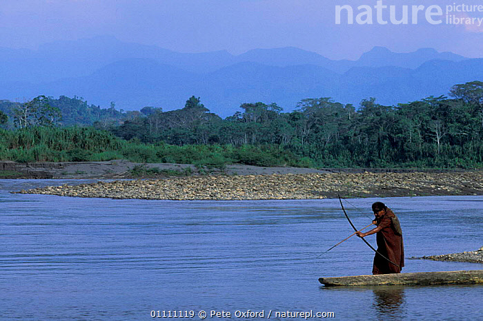 Stock photo of Machiguenga indian fishing with bow + arrow, Timpia  community, Urubamba…. Available for sale on