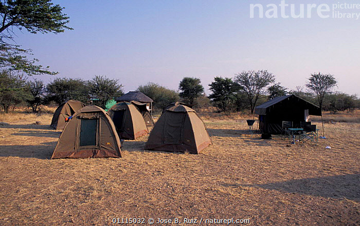Stock photo of Tents at Seronera campsite, Serengeti NP, Tanzania