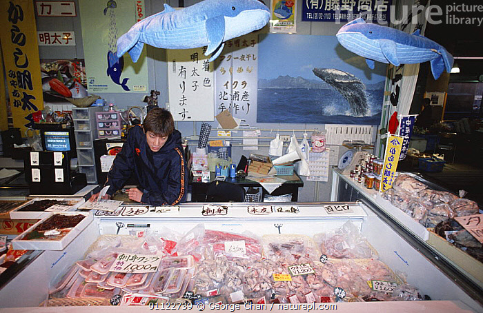 Stock Photo Of Whale Meat For Sale, Japan 2002. Available For Sale On ...