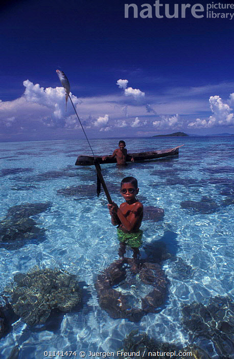 Spear fishing, Malaysia - Stock Image - C029/8938 - Science Photo