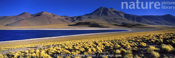 Stock photo of Laguna Miscanti, the Andes, Northern Chile. Available