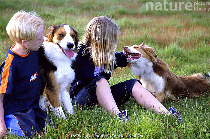 Border collie with store kids