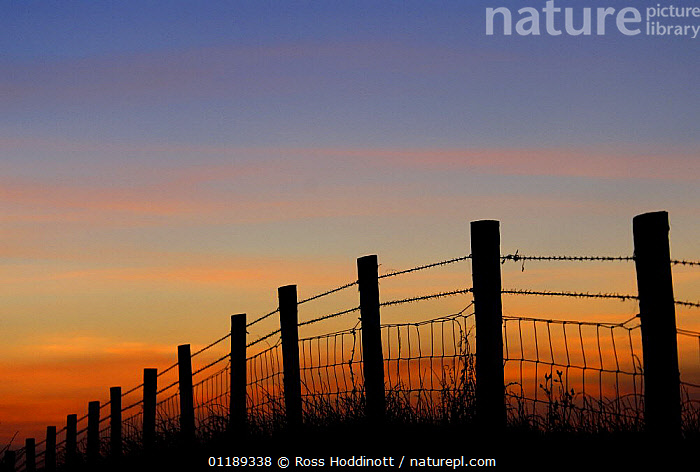 Stock photo of Fence silhouetted at dusk, Abbotsham, Devon, UK ...