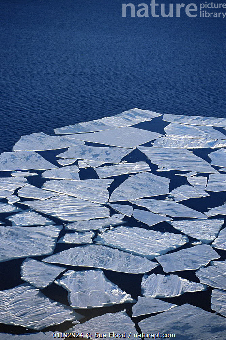 Ice Floe Photos for Sale 