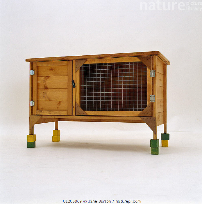 Rabbit hutch hot sale on legs