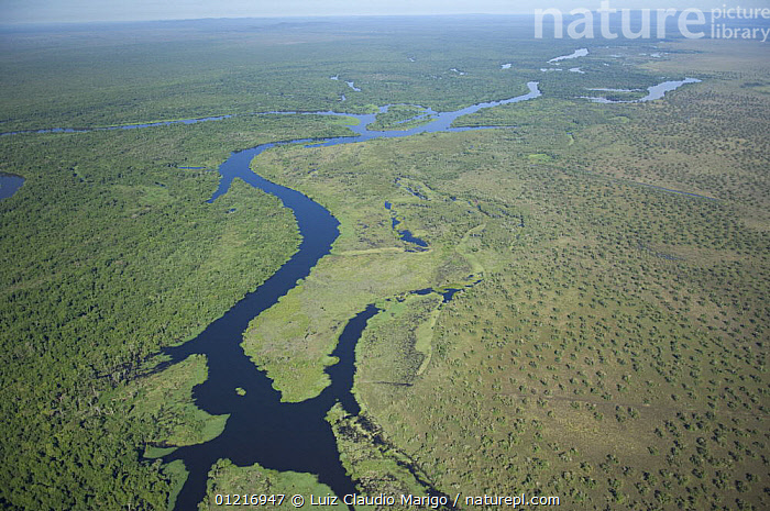 Stock photo of Aerial view of Guapor?iver in an area of transition ...
