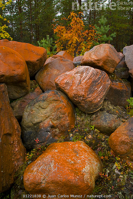 Stock photo of Rocks in taiga woodland, Laponia / Lappland , Finland ...