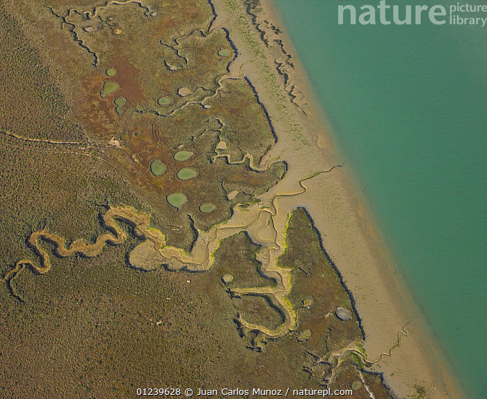 Stock photo of Aerial view of the river beds and saltmarshes of the