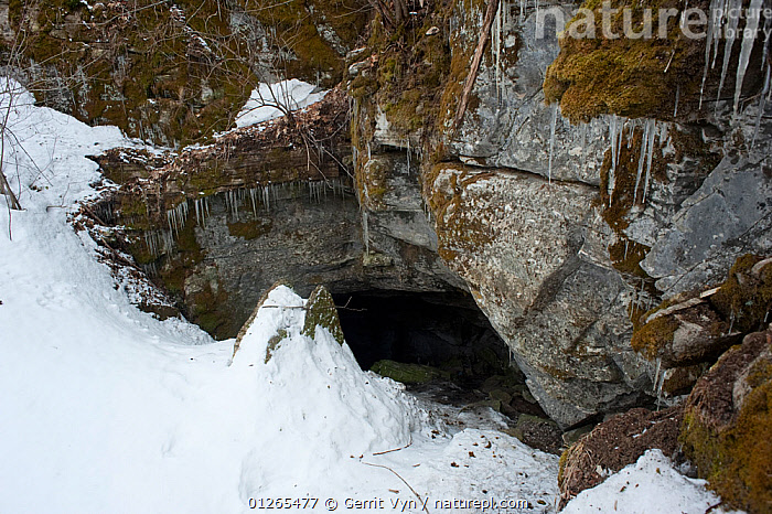 Stock photo of The entrance to Vermont's largest bat hibernacula ...