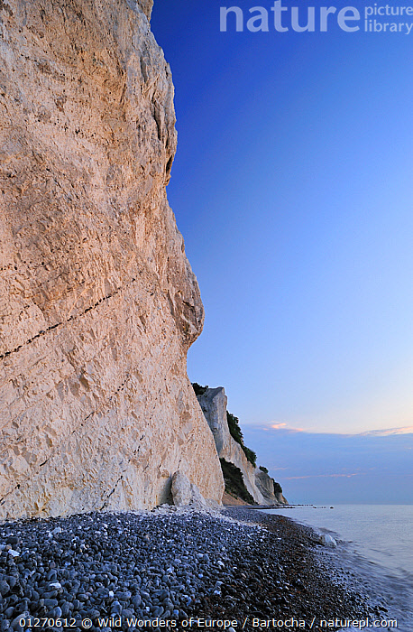 Stock photo of Chalk cliffs, Nellerendefald and Tragten at sunrise, M ...