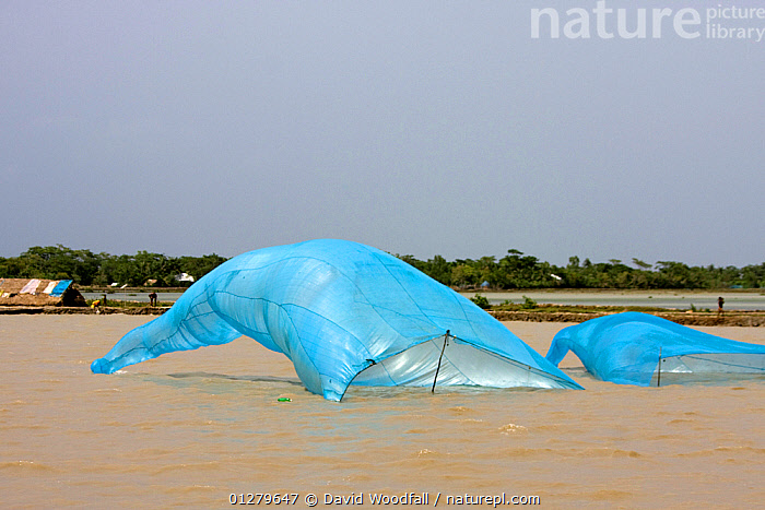  Shrimp Nets