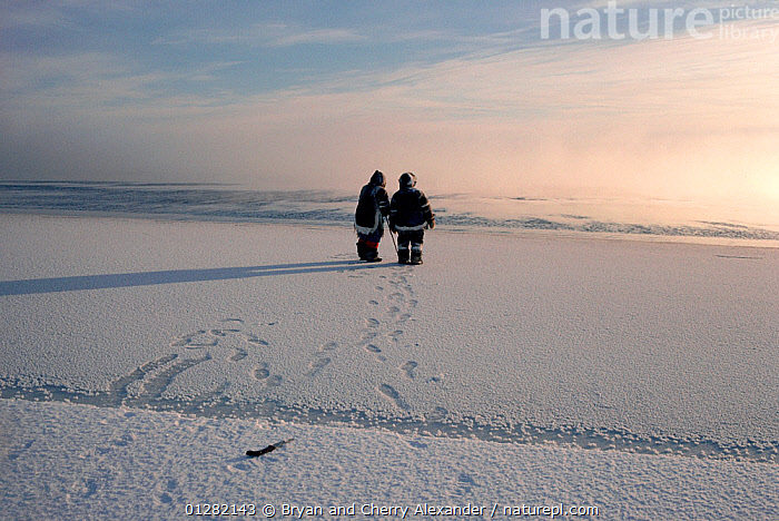 Stock photo of Two Inuit hunters leaving footprints in the snow-covered ...