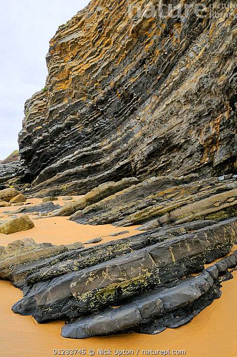 Stock photo of Folded layers of Jurassic sedimentary limestone and marl ...