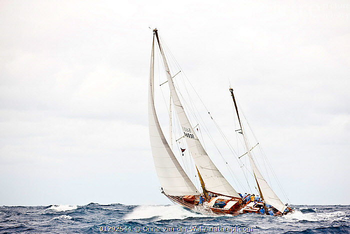 Stock photo of Classic ketch sailing at the Panerai Antigua